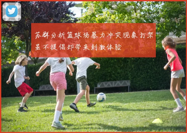 苏群分析篮球场暴力冲突现象打架虽不提倡却带来刺激体验